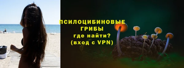 ешки Ельня