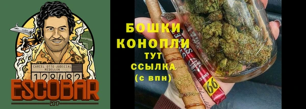 ECSTASY Вяземский