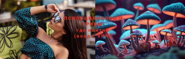 шишки Абдулино